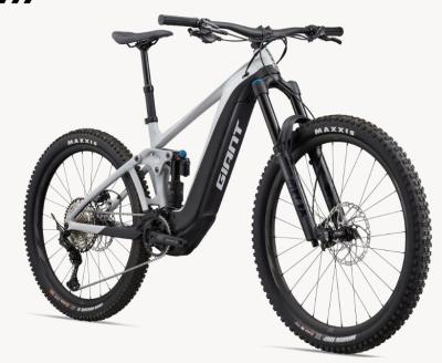 Reign E+ 1 [Mullet/Pro/750Wh] M (NCO) Produktbild 1