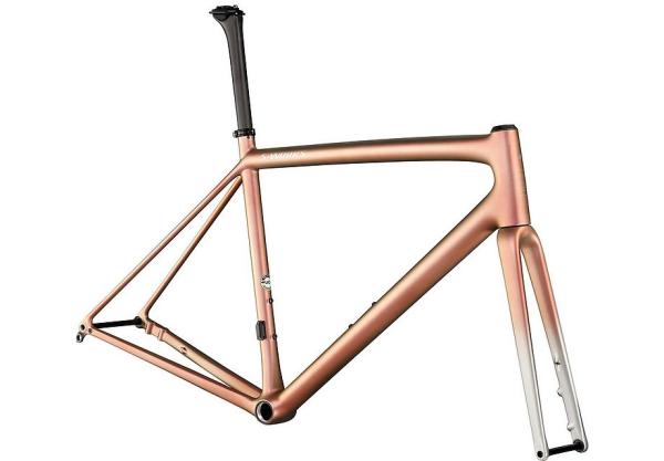 Specialized AETHOS SW FRMSET 49 FLKSIL/CMLNREDGLD/BRSHCP