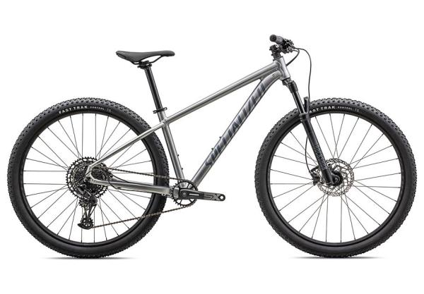 Specialized ROCKHOPPER EXPERT 29 S SILVER DUST/BLACK HOLOGRAPHIC