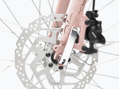 Electra Townie Path Go! 10D Step Thru EU M Rose Quartz Produktbild 4