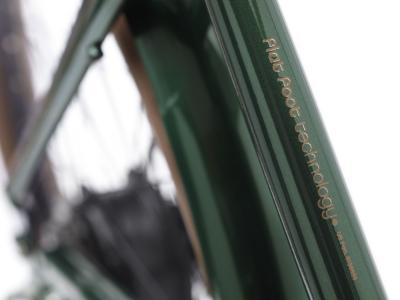 Electra Townie Go! 7D EQ Step Over EU M Evergreen Metallic Produktbild 4