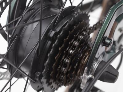 Electra Townie Go! 7D EQ Step Over EU M Evergreen Metallic Produktbild 5