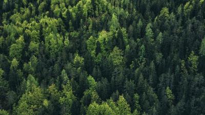 Bontrager Flaschenhalter Bontrager Side Load Left Recycled M Produktbild 4