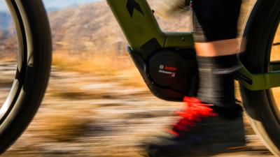 Trek Powerfly 5 EU L 29 Dark Prismatic/Trek Black Produktbild 11