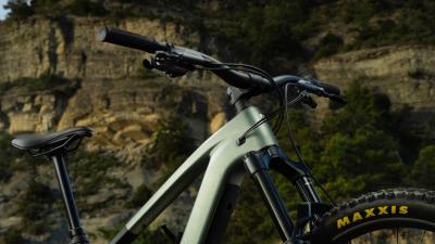 Trek FUEL+ EX 9.7 EU M Carbon Smoke/Lithium Grey Marble Produktbild 6
