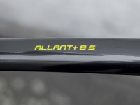 Trek Allant+ 8S XL Lithium Grey